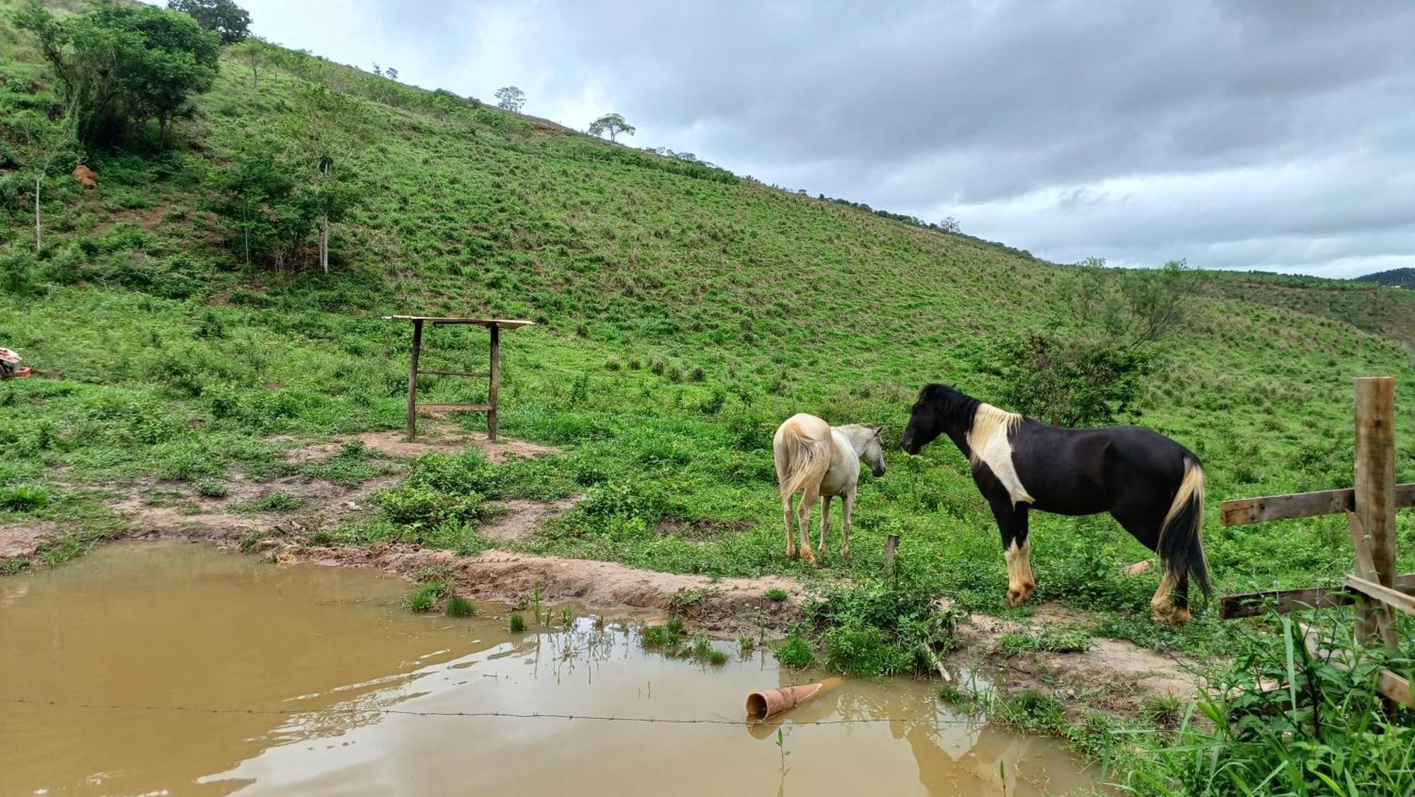 Sitio Reis Membeca Paraíba do Sul Zewnętrze zdjęcie