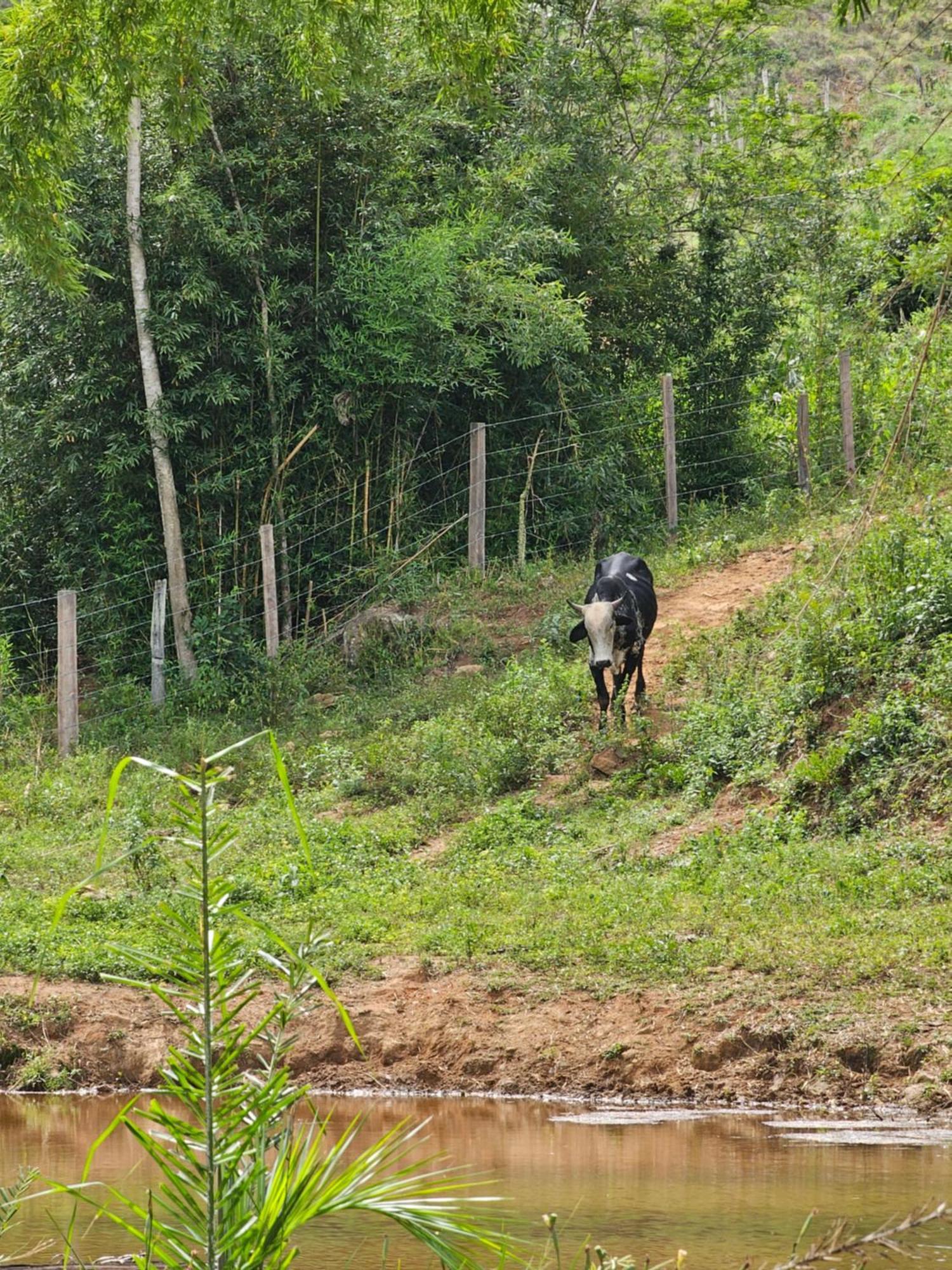 Sitio Reis Membeca Paraíba do Sul Zewnętrze zdjęcie