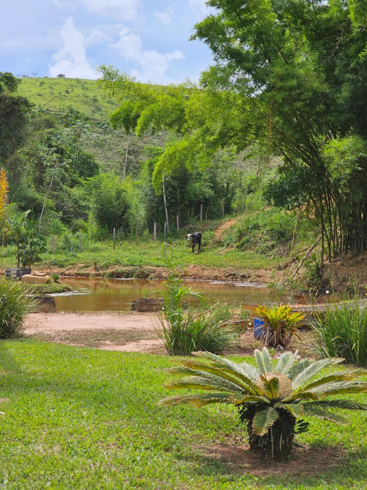Sitio Reis Membeca Paraíba do Sul Zewnętrze zdjęcie