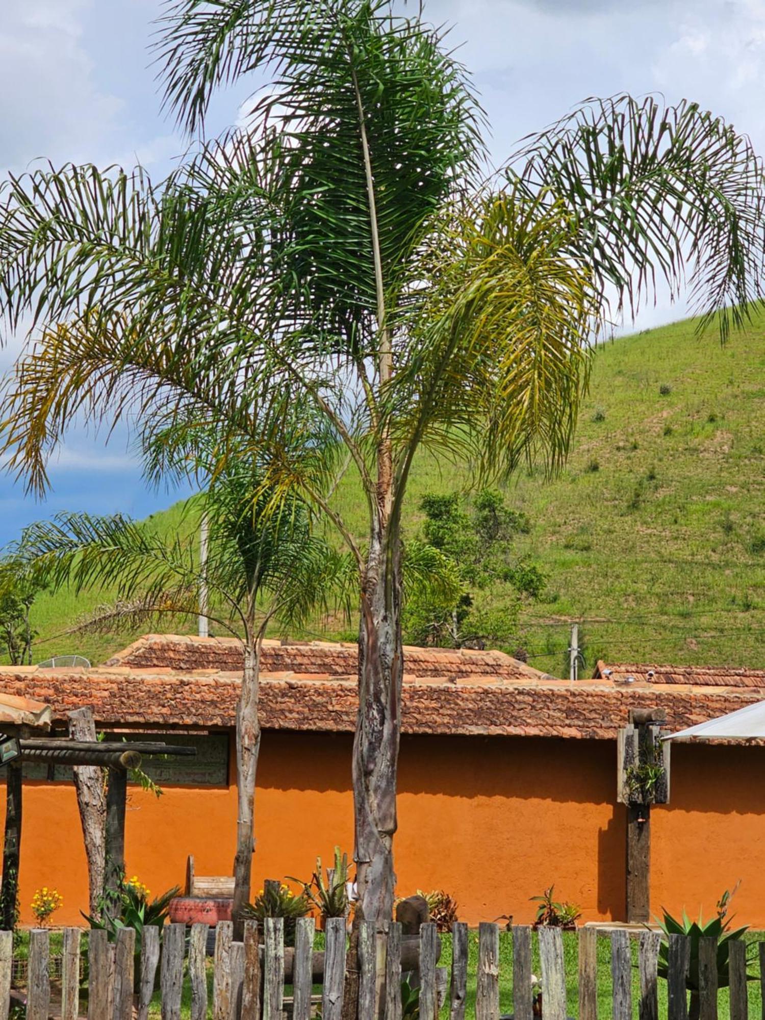 Sitio Reis Membeca Paraíba do Sul Zewnętrze zdjęcie
