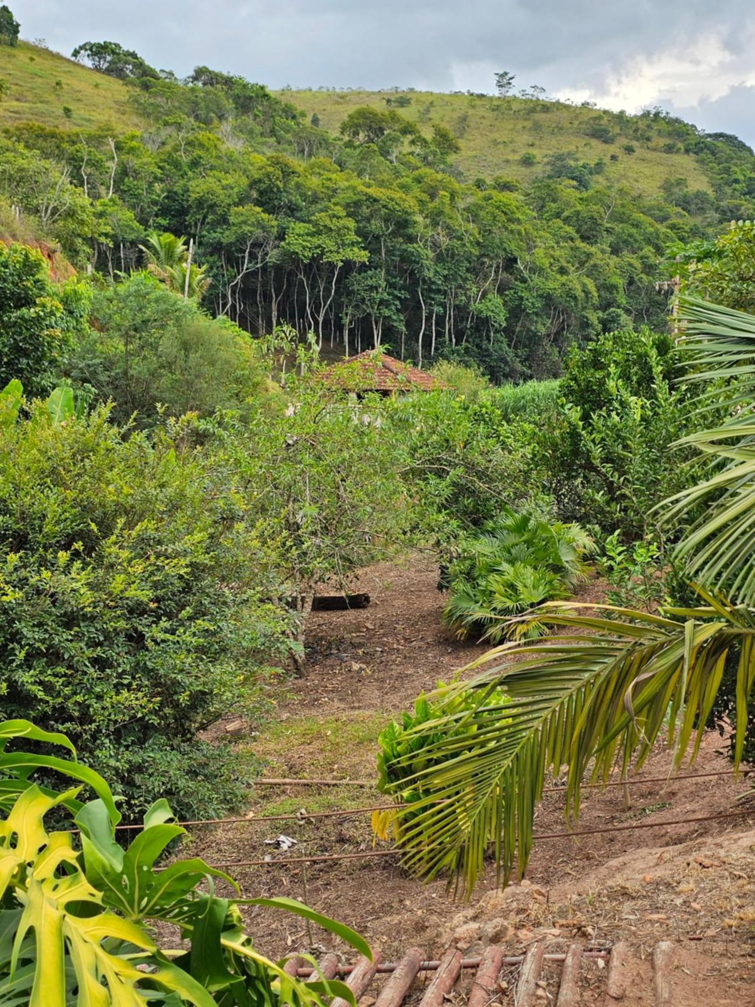 Sitio Reis Membeca Paraíba do Sul Zewnętrze zdjęcie