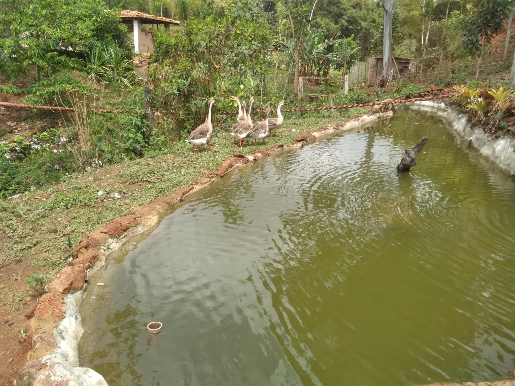 Sitio Reis Membeca Paraíba do Sul Zewnętrze zdjęcie