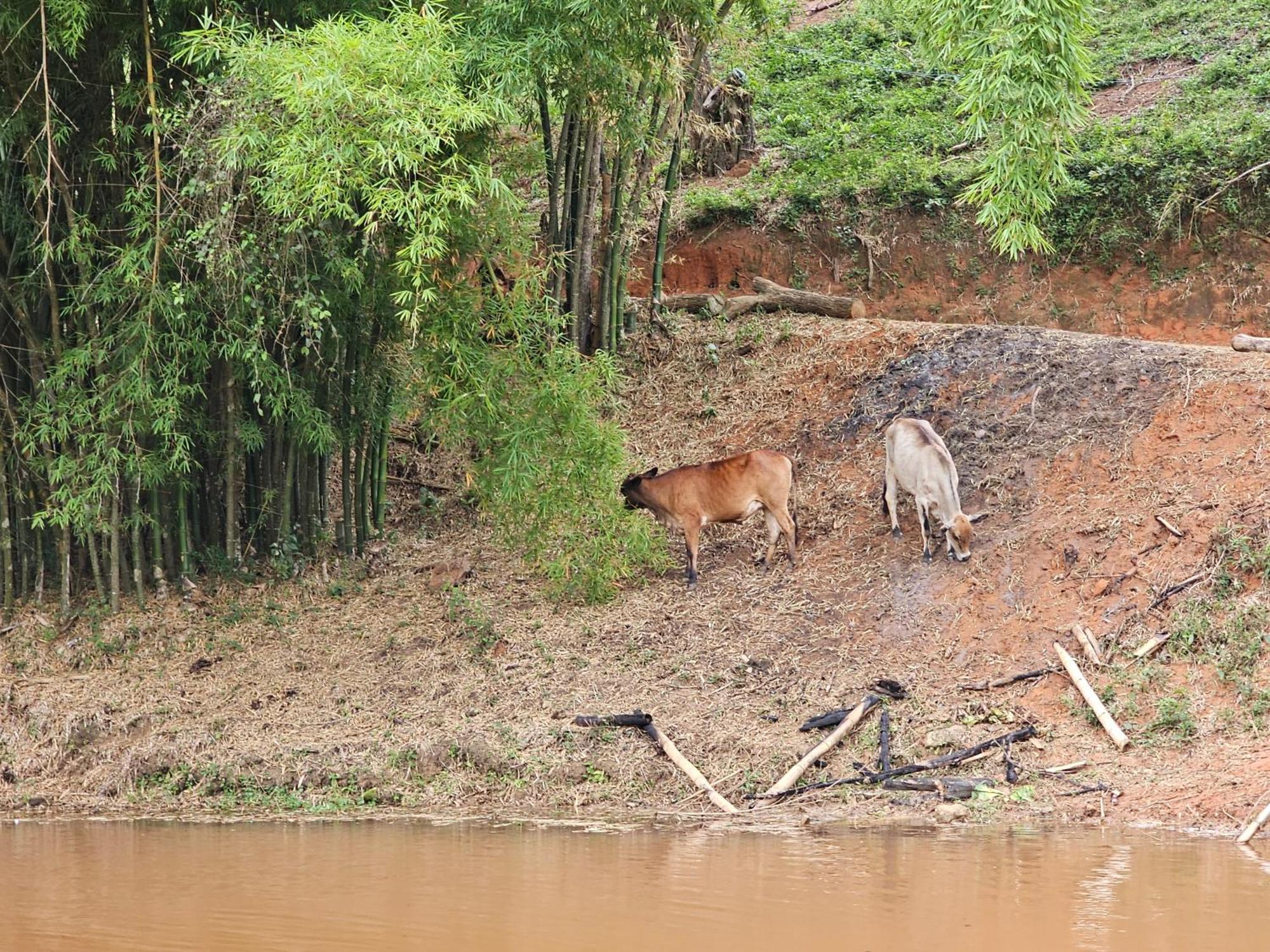Sitio Reis Membeca Paraíba do Sul Zewnętrze zdjęcie
