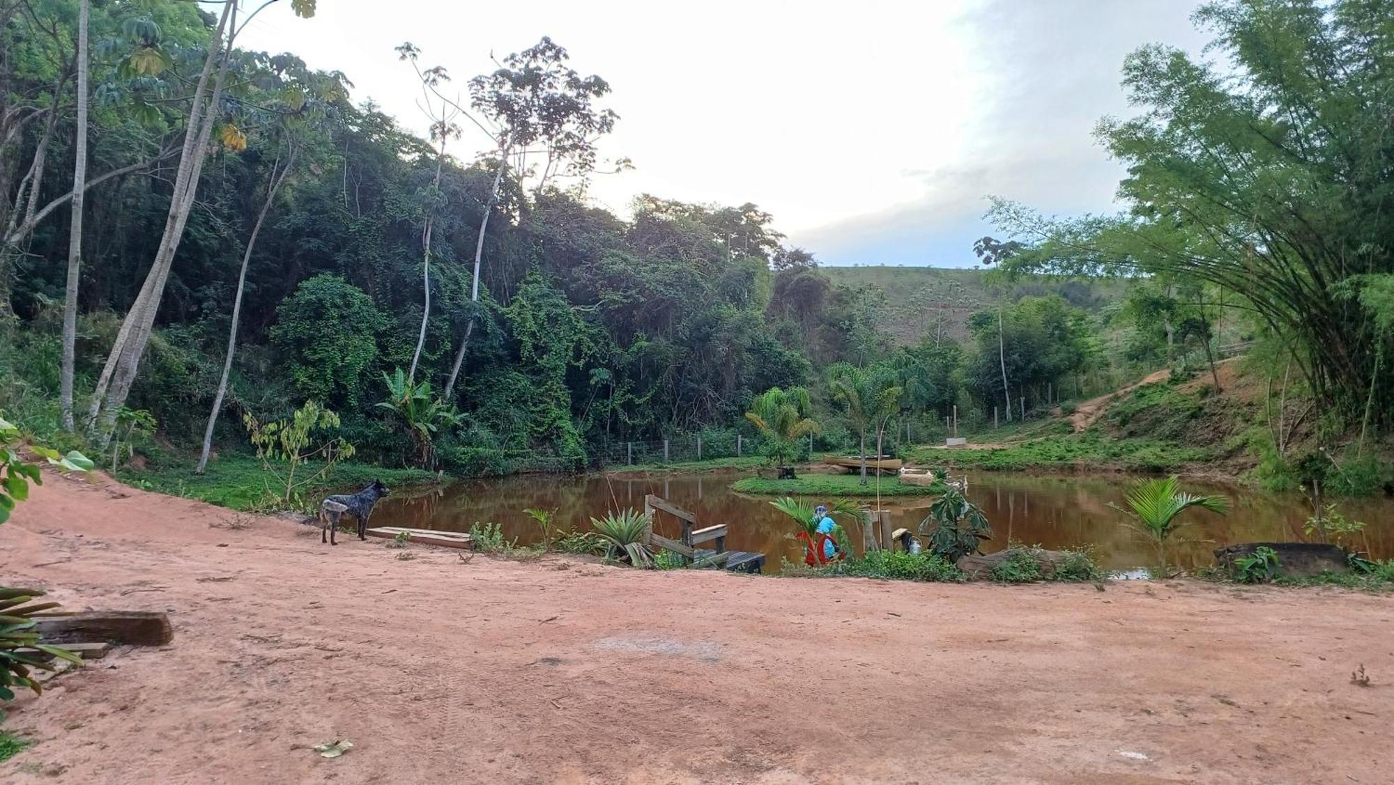 Sitio Reis Membeca Paraíba do Sul Zewnętrze zdjęcie